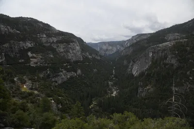 DSC_4511 (Large).JPG